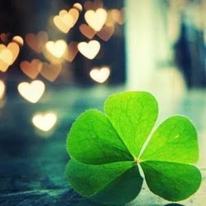 Meet your Posher, Nguyen